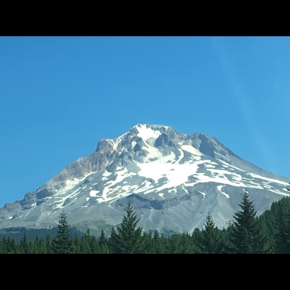 Meet your Posher, Gabrialle